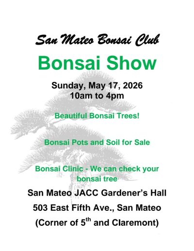 San Mateo Bonsai Club Bonsai Show flyer